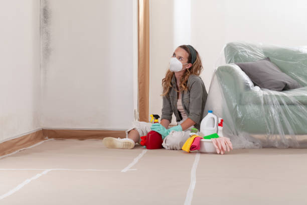 Reliable Mold Cleanup contractor in Greenlawn, NY by WQB Mold Removal